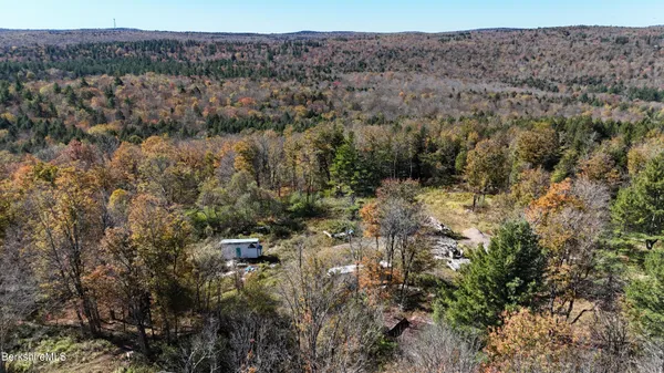 a view of a forest
