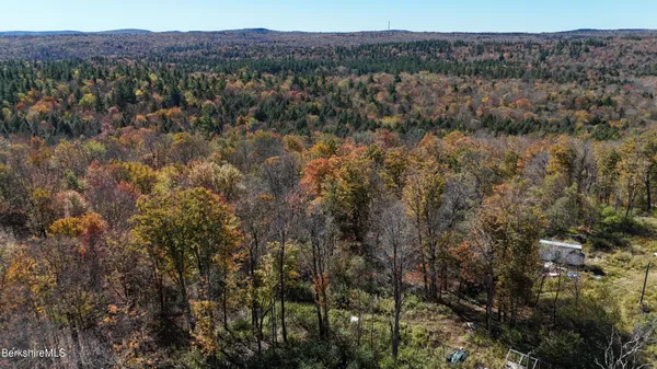 a view of a lake with a mountain in the background