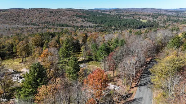 a view of a forest with lots of trees