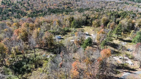 a view of a lush green forest with lush green forest