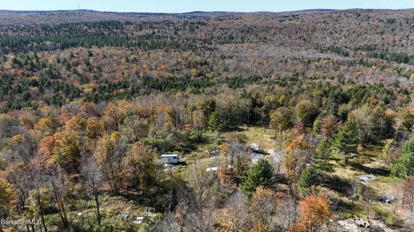 a view of a city with lush green forest