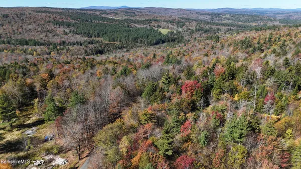 a view of a bunch of trees and bushes