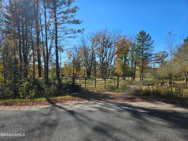 a view of a backyard with large trees