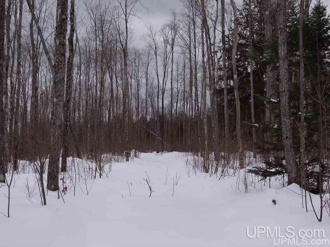 Tbd Old Rink Road Toivola, MI 49965 - Photo 17 of 31 Gallery Image 17