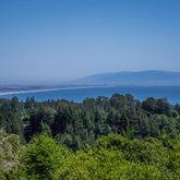 an aerial view of mountain and trees