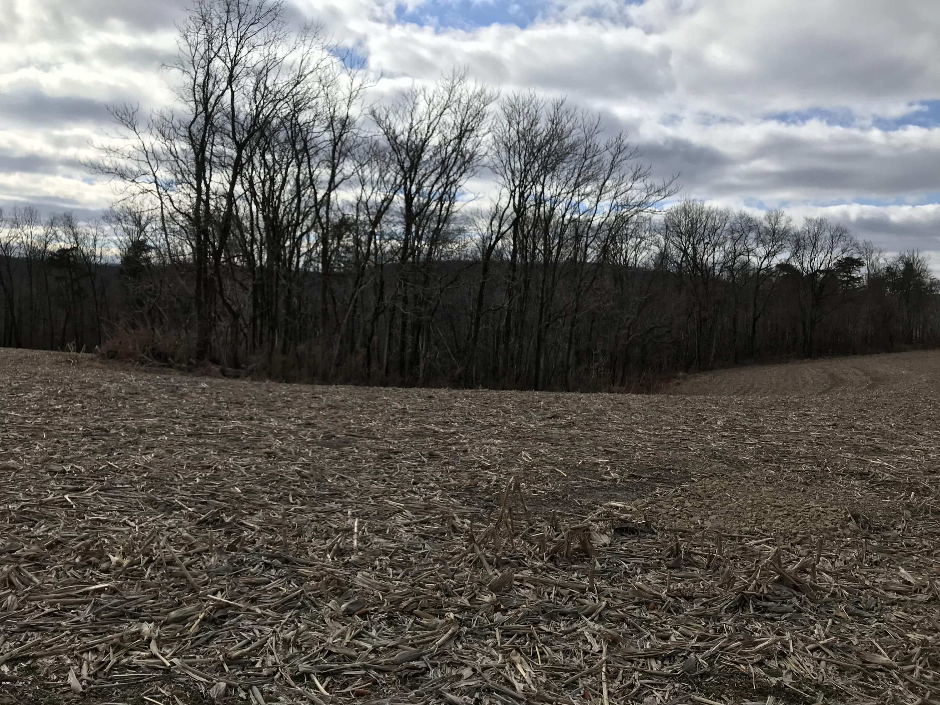Lot 5 Holly Road Danville, PA 17821 - Photo 8 of 12 Gallery Image 8