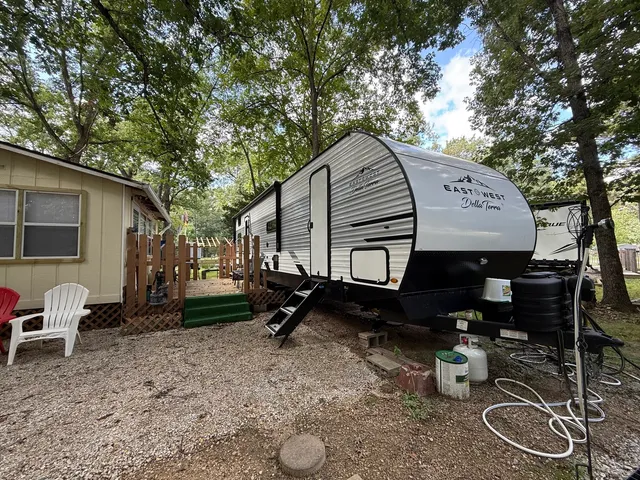 a view of a park with large trees