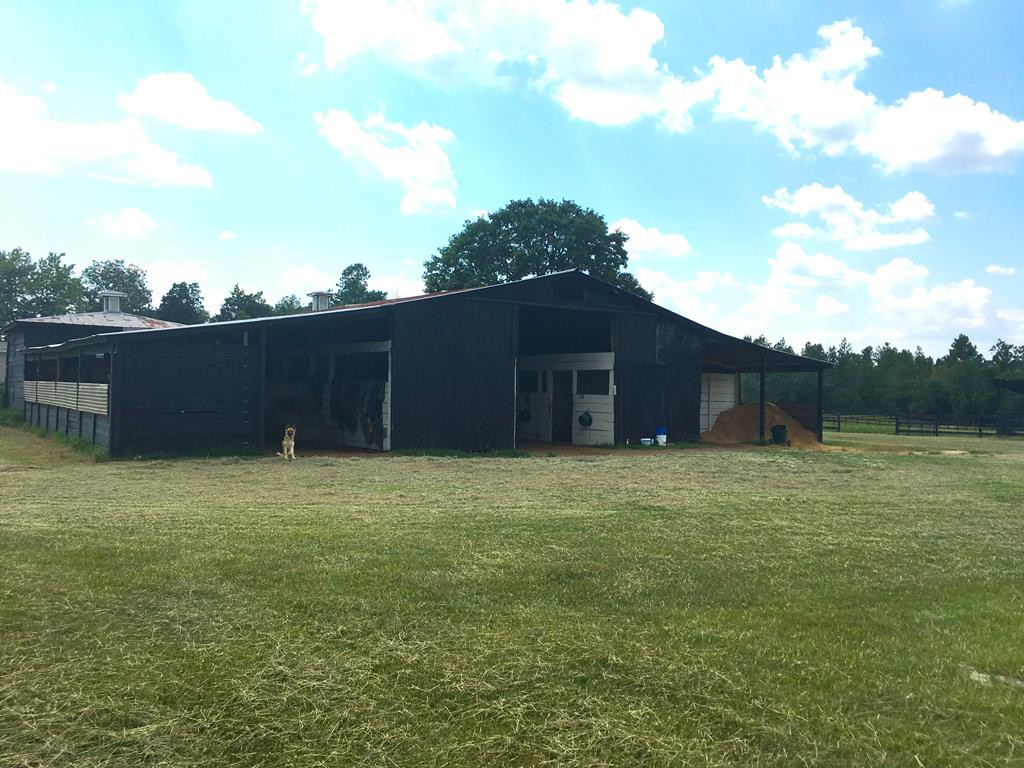 405 Cadle Crossing Road Windsor, SC 29856 - Photo 7 of 43