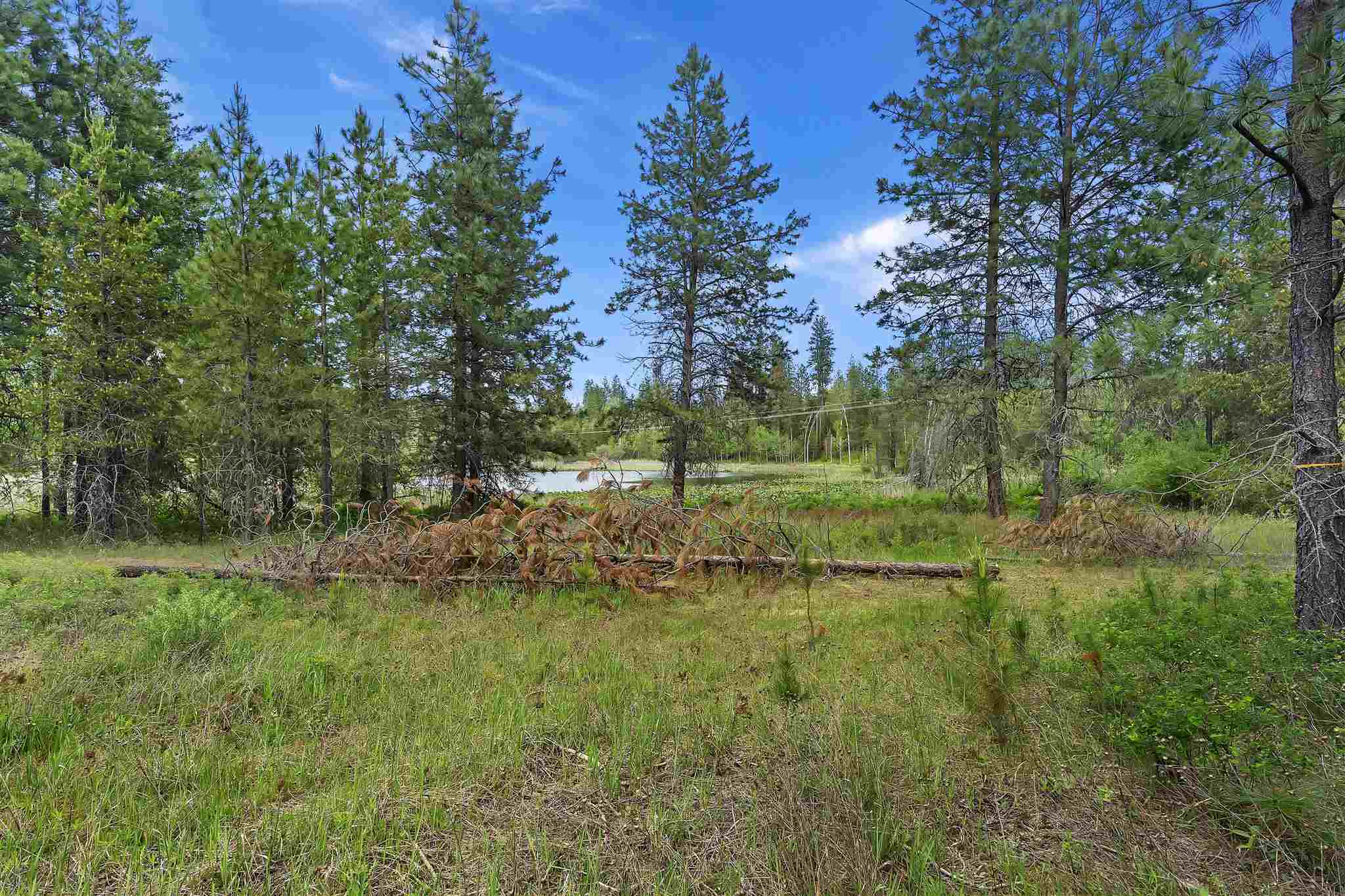 36612 North Findley Road Deer Park, WA 99006 - Photo 6 of 24 Gallery Image 6