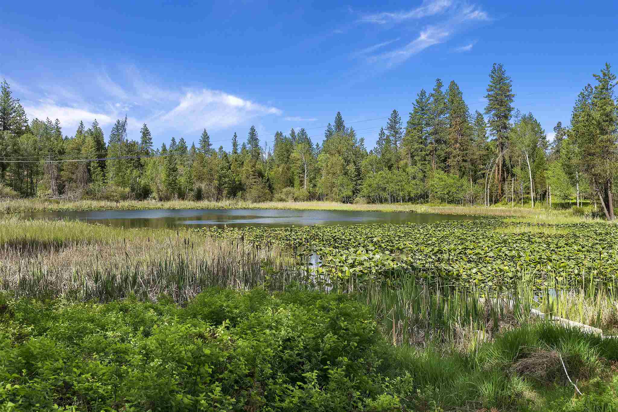 36612 North Findley Road Deer Park, WA 99006 - Photo 8 of 24 Gallery Image 8