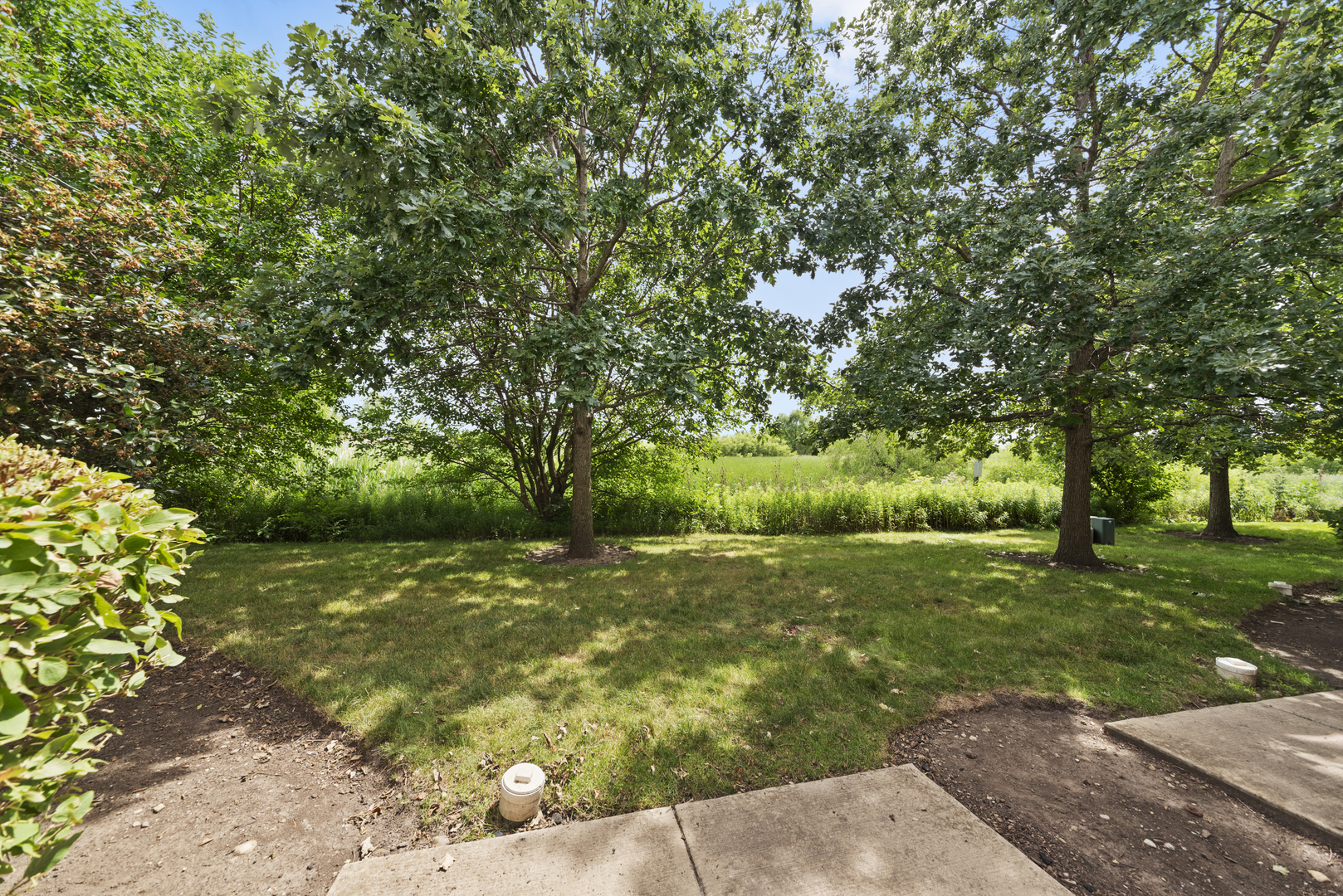 276 South Oak Creek Lane Romeoville, IL 60446 - Photo 20 of 21 a view of a field with an trees