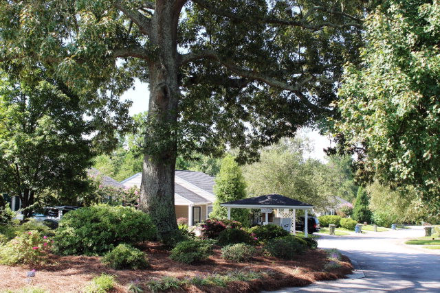 112 Single Tree Lane Aiken, SC 29803 - Photo 10 of 11 a front view of a house with garden and trees