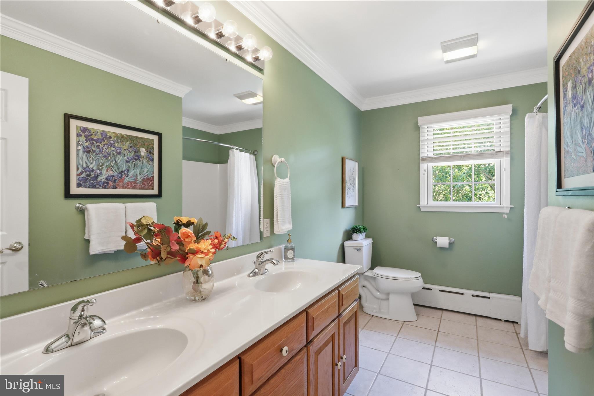 21615 Ridenour Road Boonsboro, MD 21713 - Photo 51 of 81 2nd Floor Bathroom