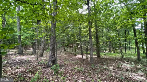 $21,900 | Lot 61 Bristol Springs Way, Slanesville, WV 25444