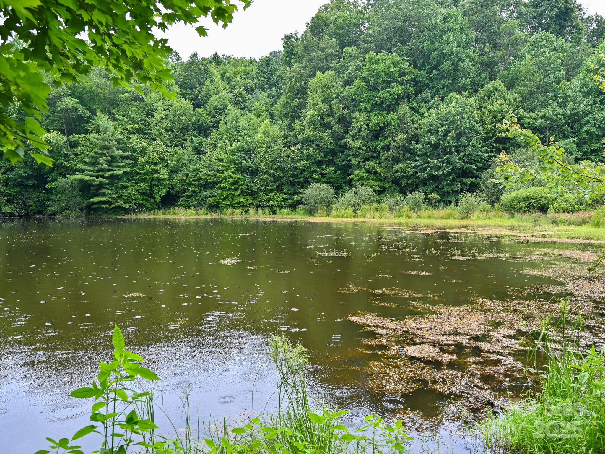 472 Hidden Valley Road Clyde, NC 28721 - Photo 40 of 40