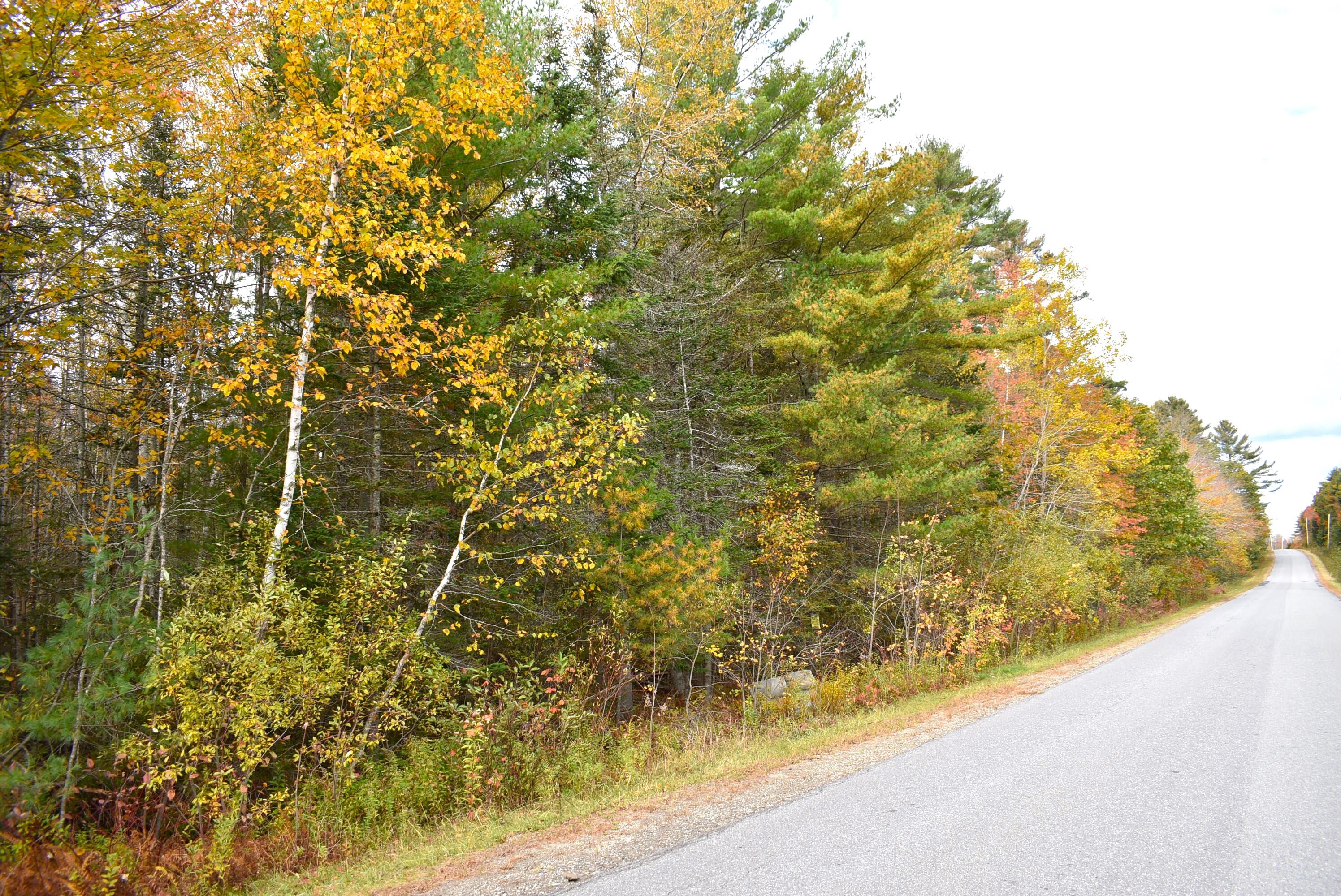 32 Curtis Road Swanville, ME 04915 - Photo 5 of 7 lynch4