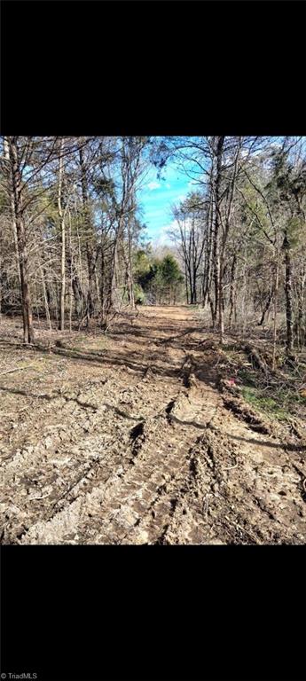 4916 Little Store Road McLeansville, NC 27301 - Photo 2 of 4