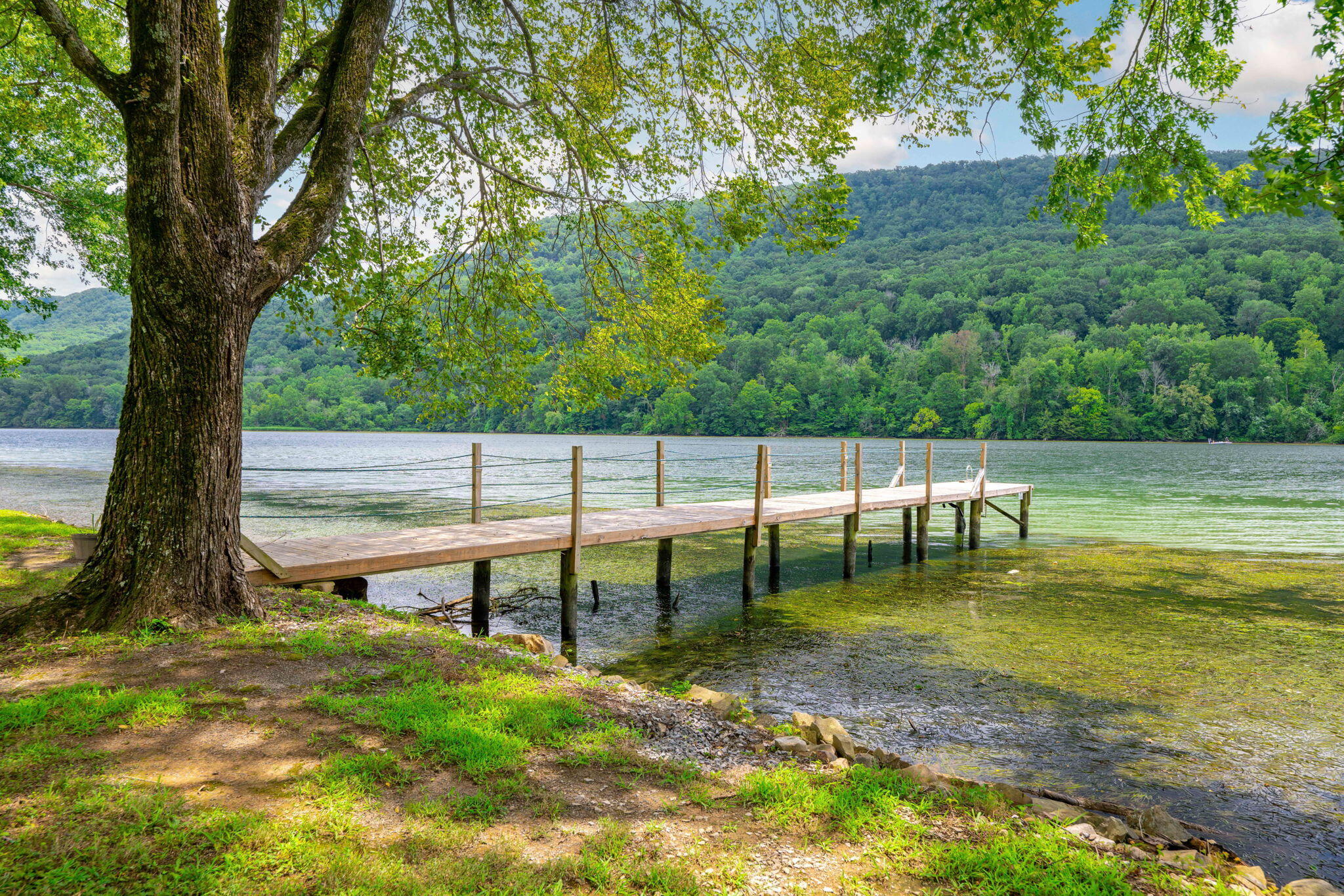 10350 Mullins Cove Road Whitwell, TN 37397 - Photo 41 of 93 45-web-or-mls-DSC_9391-18