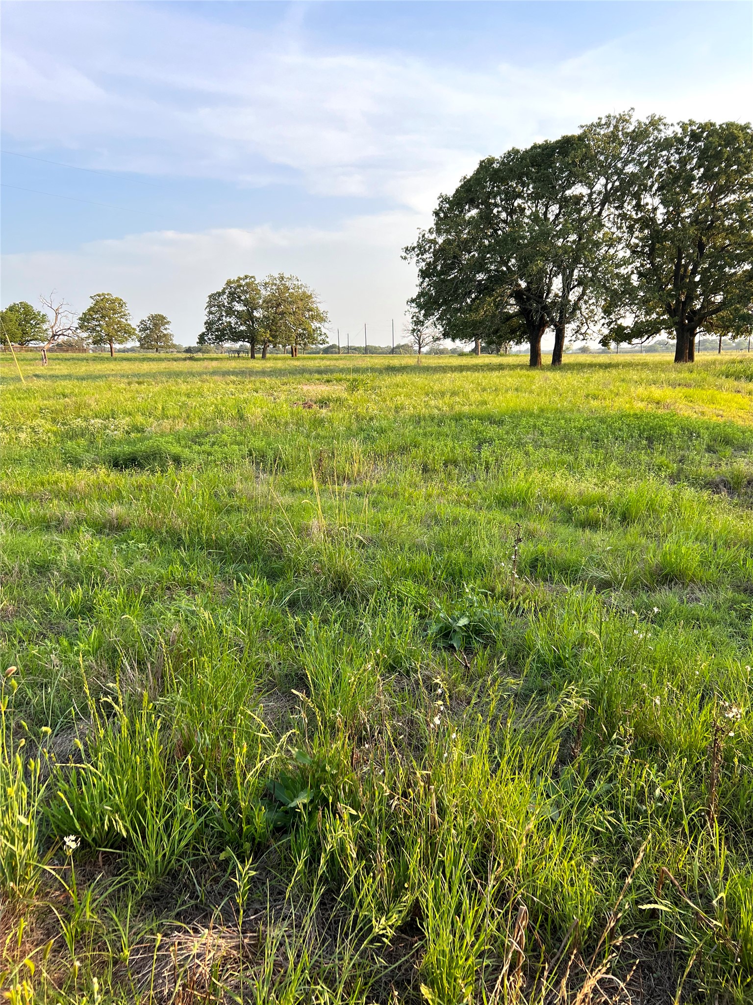 Tbd Lot 9 Tbd Road Rosanky, TX 78953 - Photo 1 of 17 a view of an ocean from a big yard
