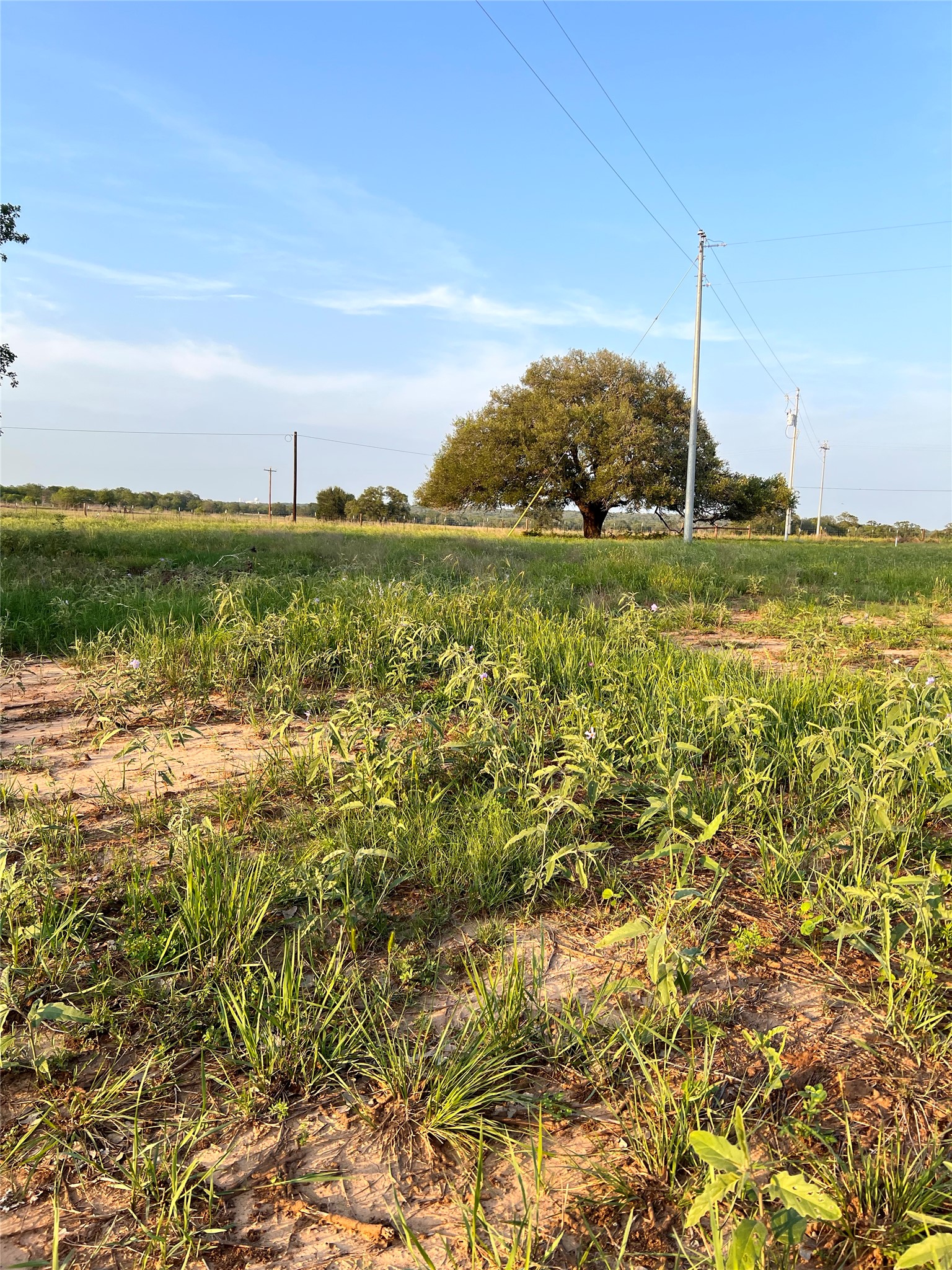 Tbd Lot 9 Tbd Road Rosanky, TX 78953 - Photo 11 of 17 a view of a lake with a big yard