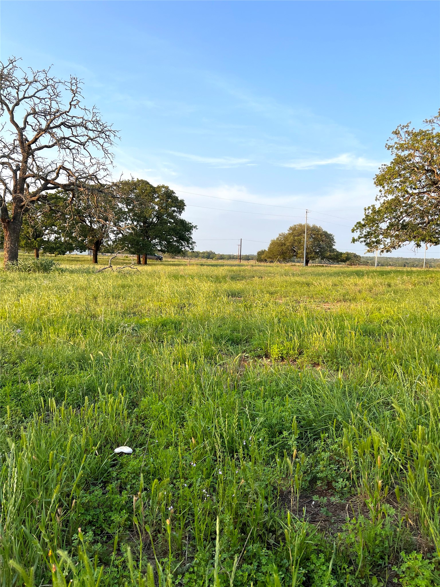 Tbd Lot 9 Tbd Road Rosanky, TX 78953 - Photo 12 of 17