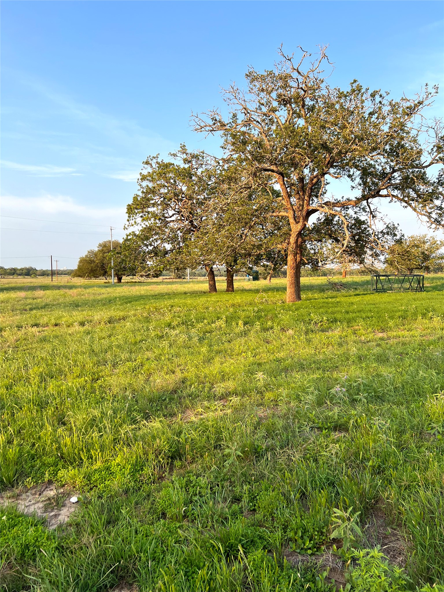 Tbd Lot 9 Tbd Road Rosanky, TX 78953 - Photo 13 of 17