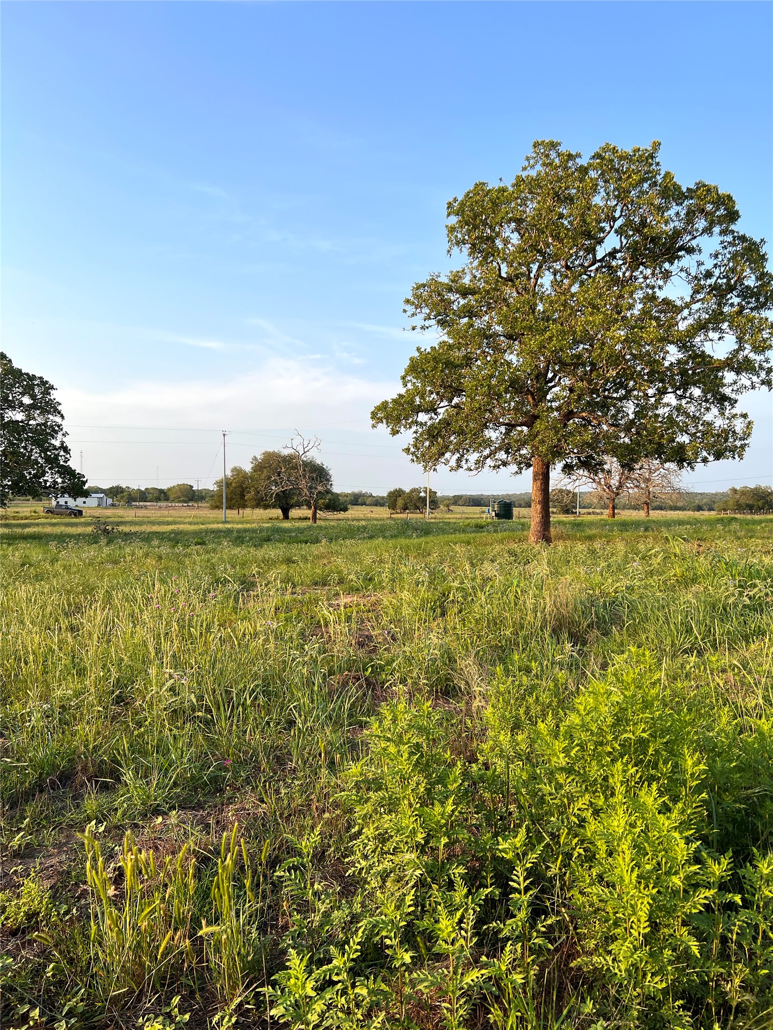 Tbd Lot 9 Tbd Road Rosanky, TX 78953 - Photo 14 of 17 a view of a large body of water with a large trees