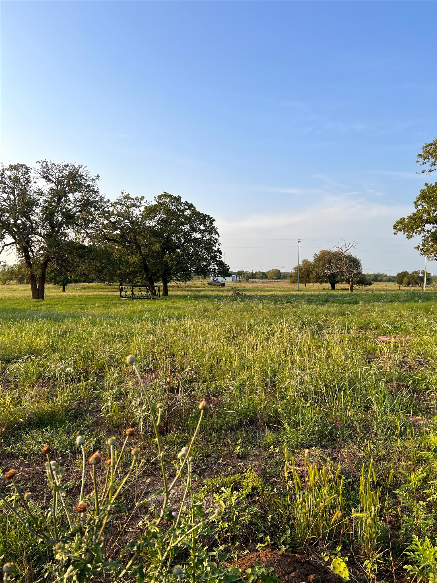 Tbd Lot 9 Tbd Road Rosanky, TX 78953 - Photo 15 of 17 a view of a large body of water with a large trees