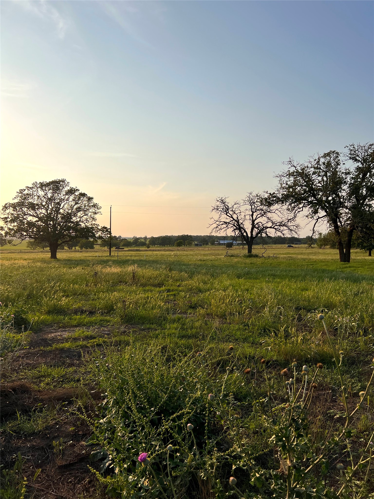 Tbd Lot 9 Tbd Road Rosanky, TX 78953 - Photo 16 of 17 a view of a field with an ocean