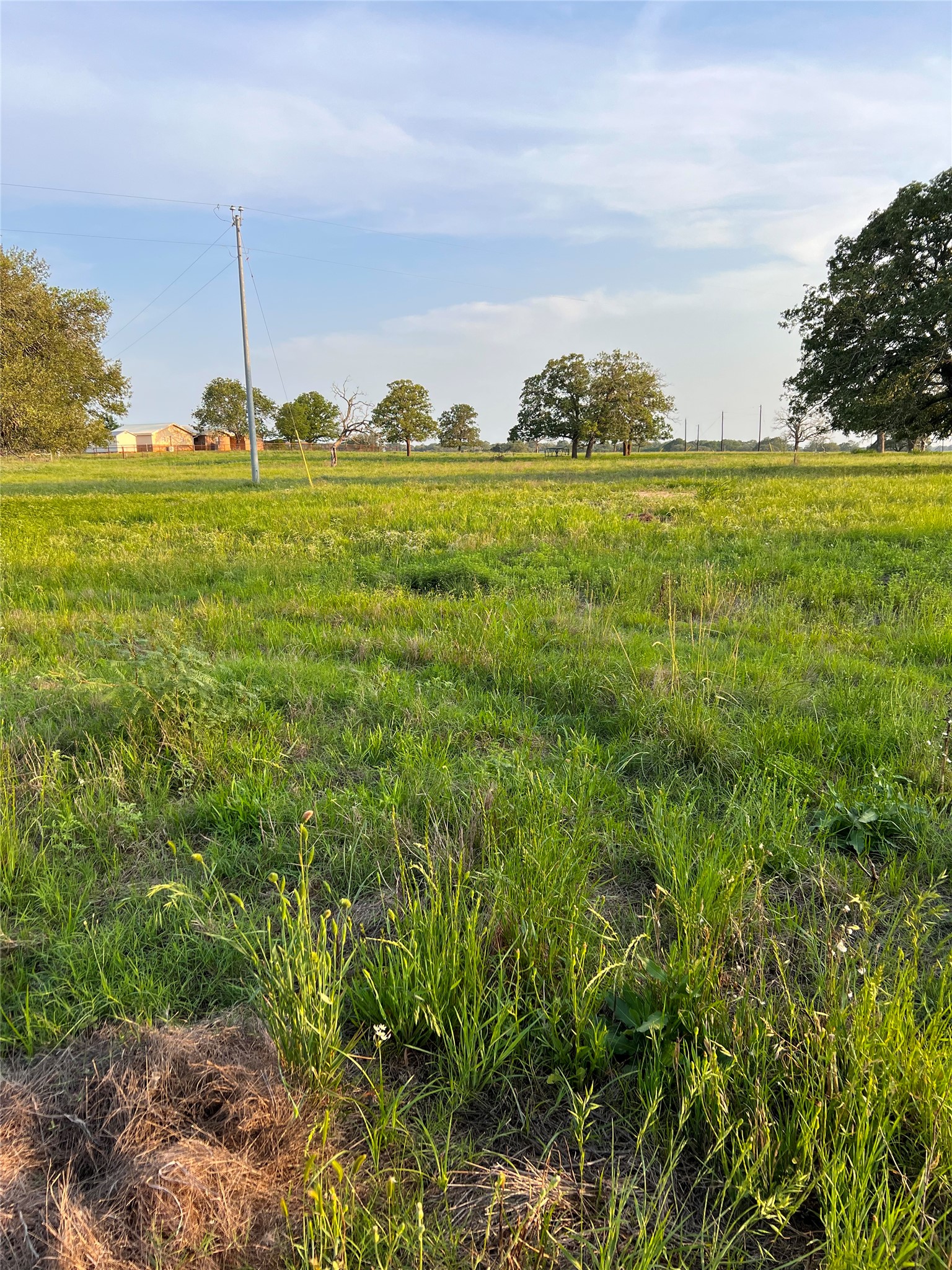 Tbd Lot 9 Tbd Road Rosanky, TX 78953 - Photo 2 of 17 a view of a big yard with an trees and plants