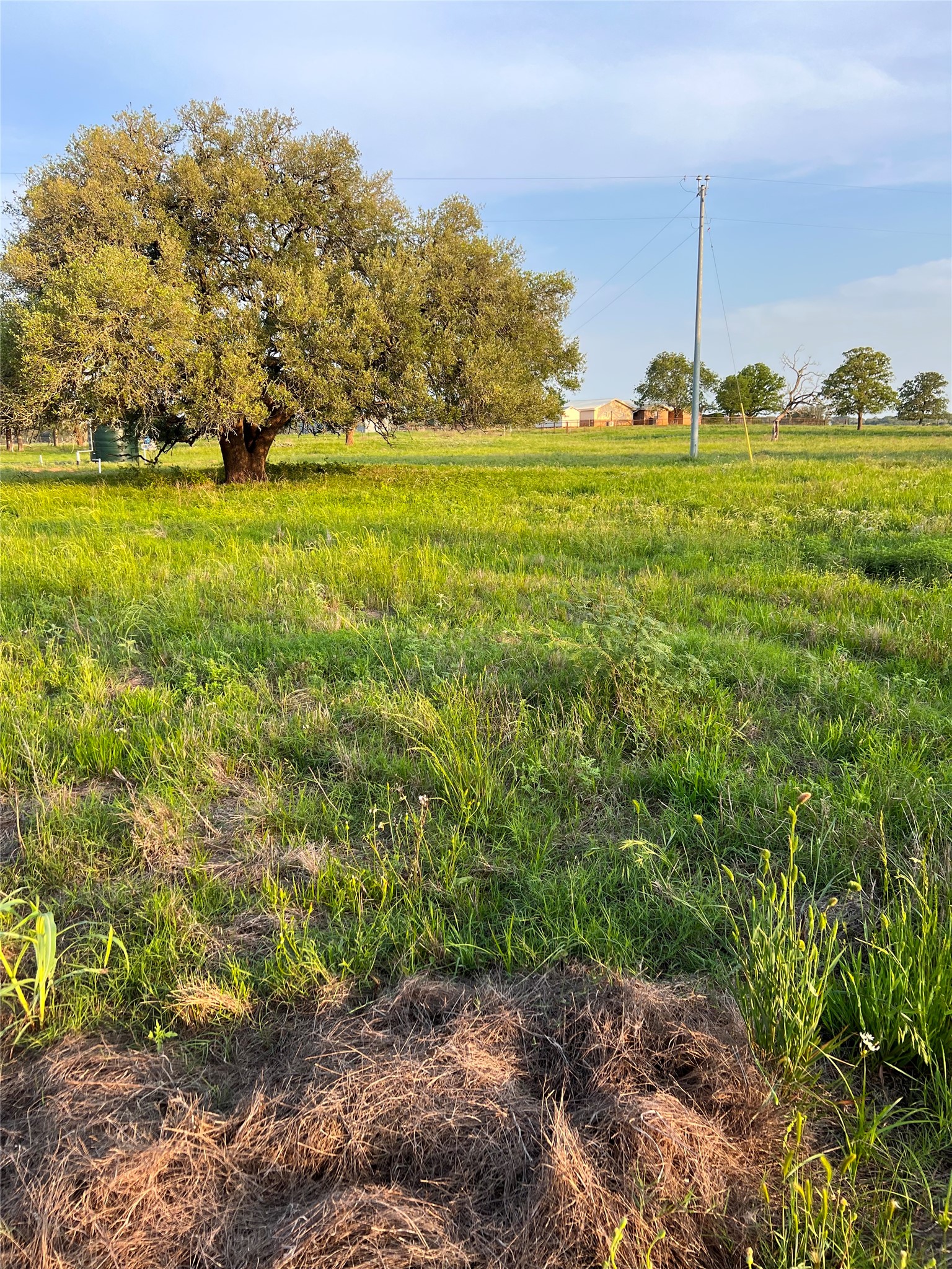 Tbd Lot 9 Tbd Road Rosanky, TX 78953 - Photo 3 of 17 a view of a big yard with potted plants and large trees