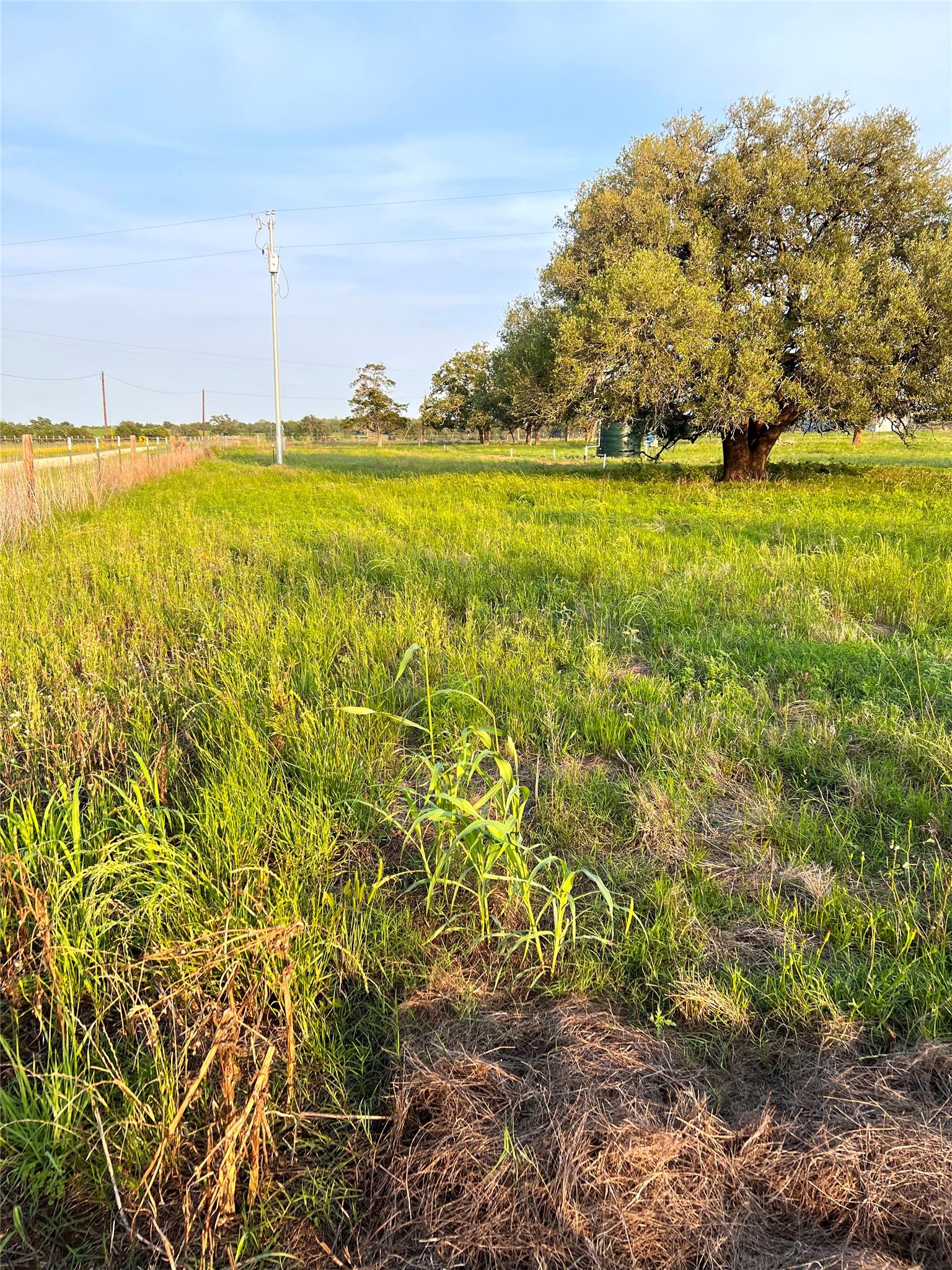 Tbd Lot 9 Tbd Road Rosanky, TX 78953 - Photo 4 of 17 a view of an ocean from a yard