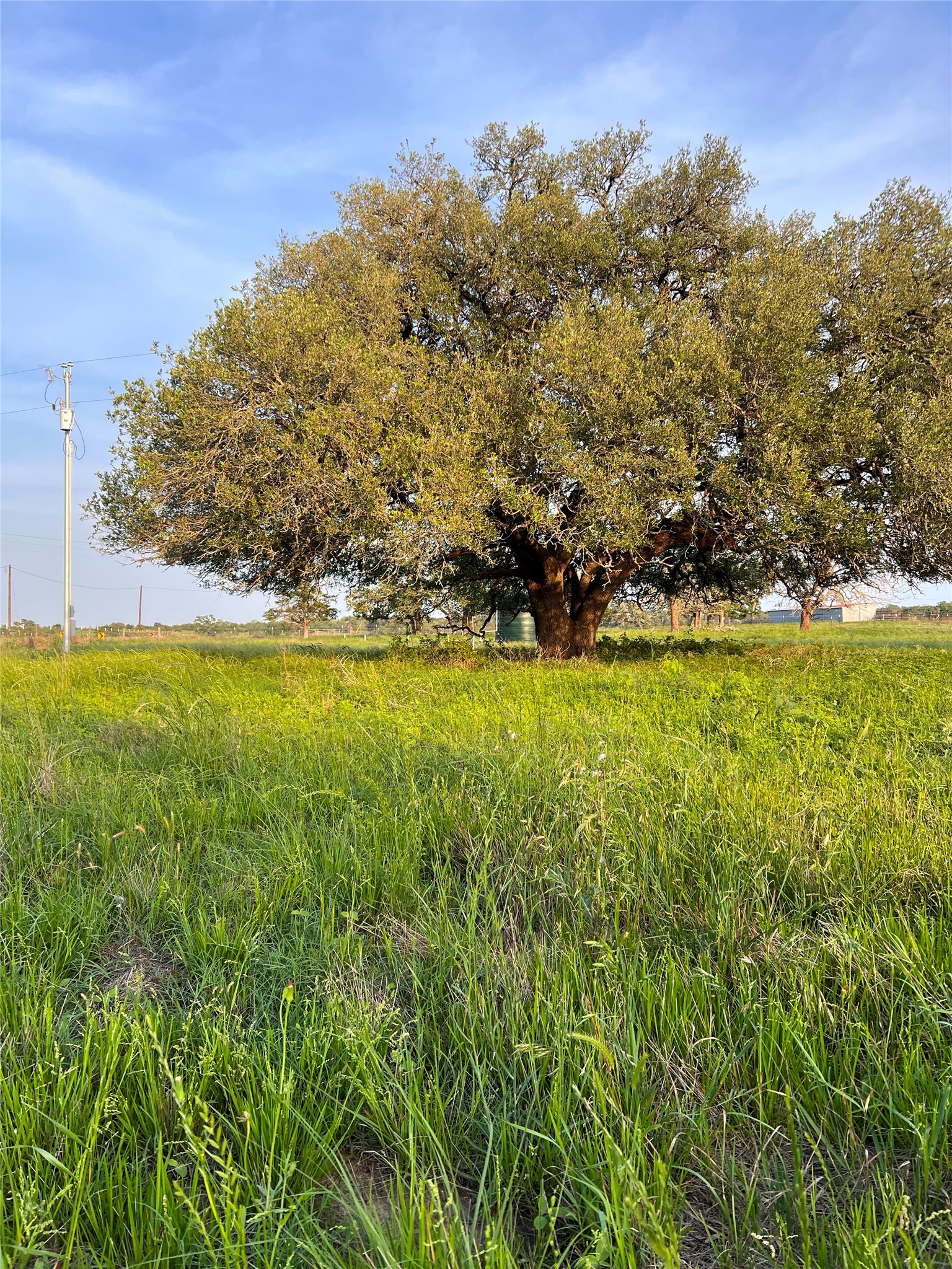 Tbd Lot 9 Tbd Road Rosanky, TX 78953 - Photo 5 of 17 a view of a lake view
