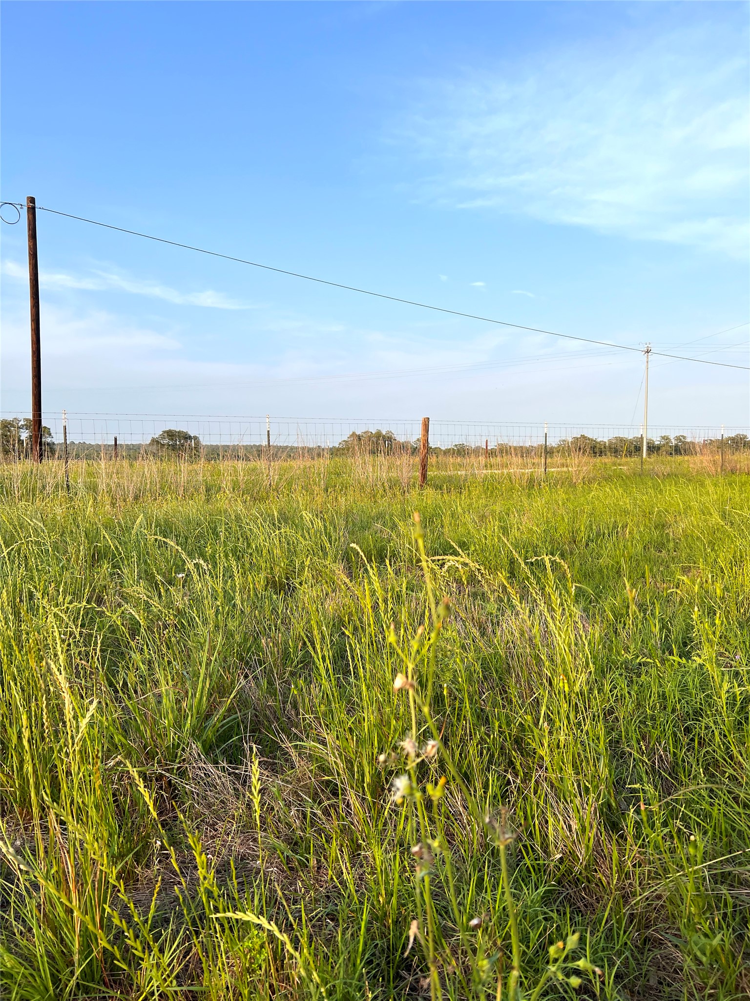 Tbd Lot 9 Tbd Road Rosanky, TX 78953 - Photo 7 of 17 a view of an ocean