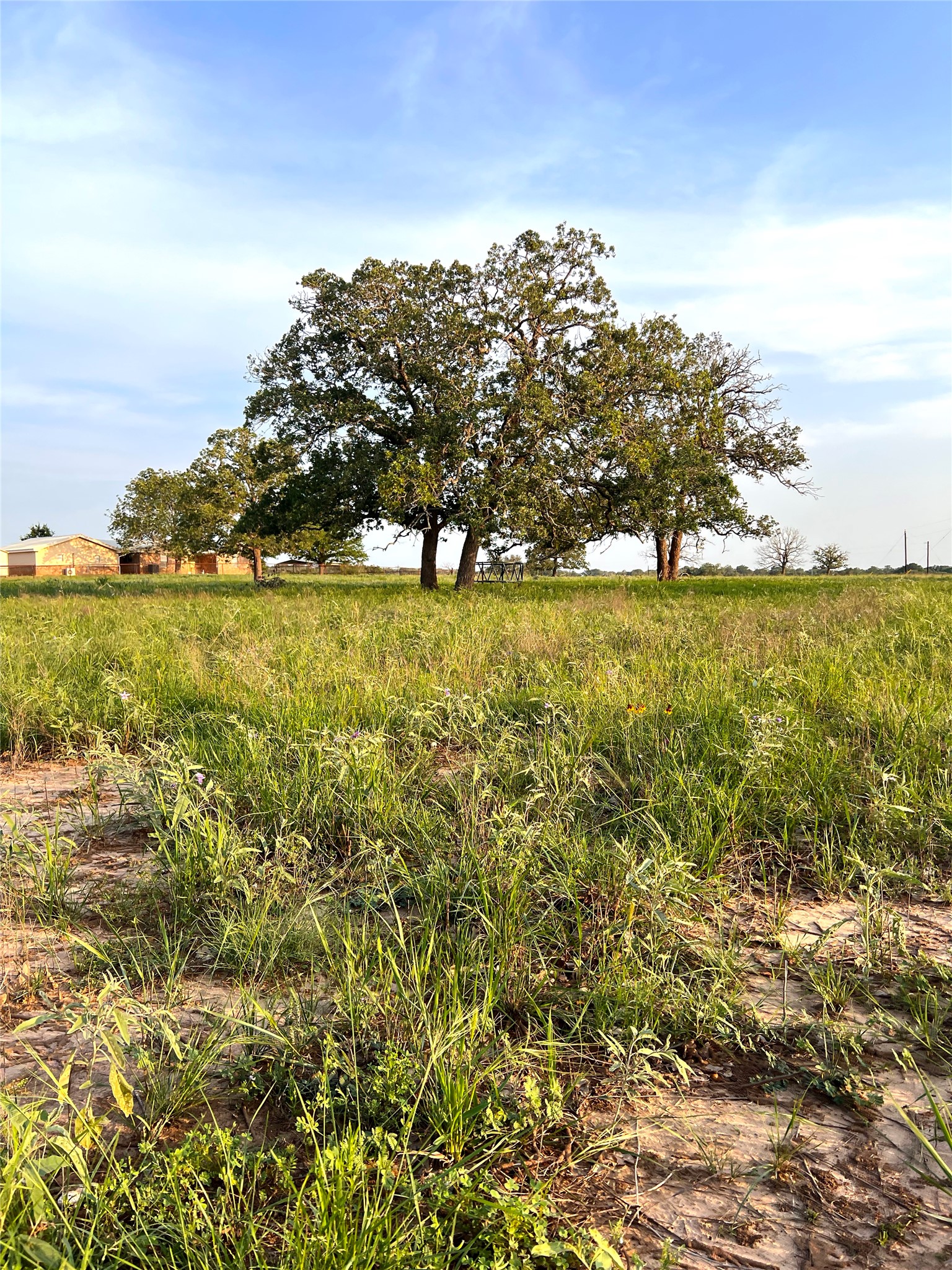 Tbd Lot 9 Tbd Road Rosanky, TX 78953 - Photo 8 of 17 a view of an outdoor space and trees