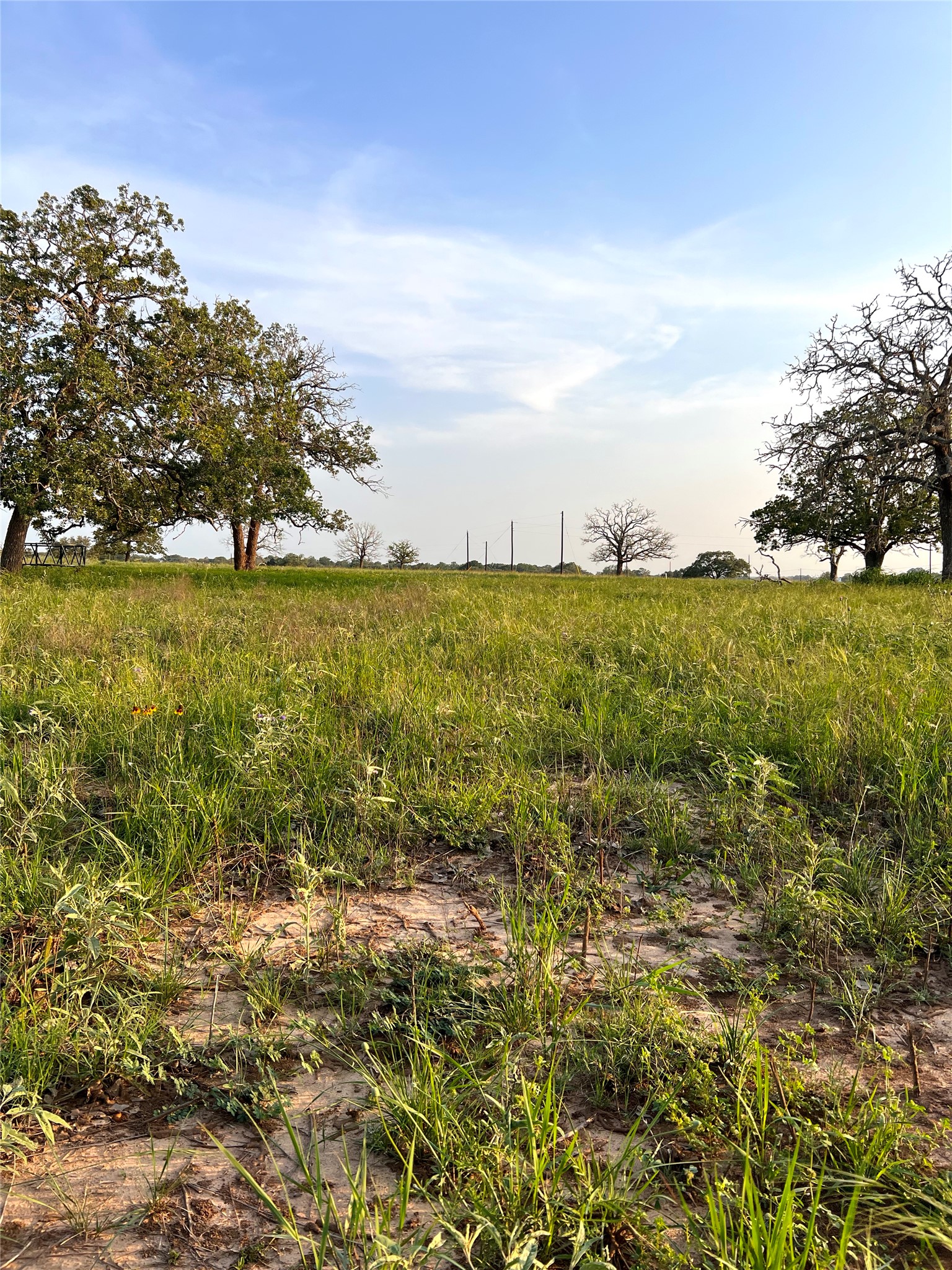 Tbd Lot 9 Tbd Road Rosanky, TX 78953 - Photo 9 of 17 a view of an outdoor space and a yard