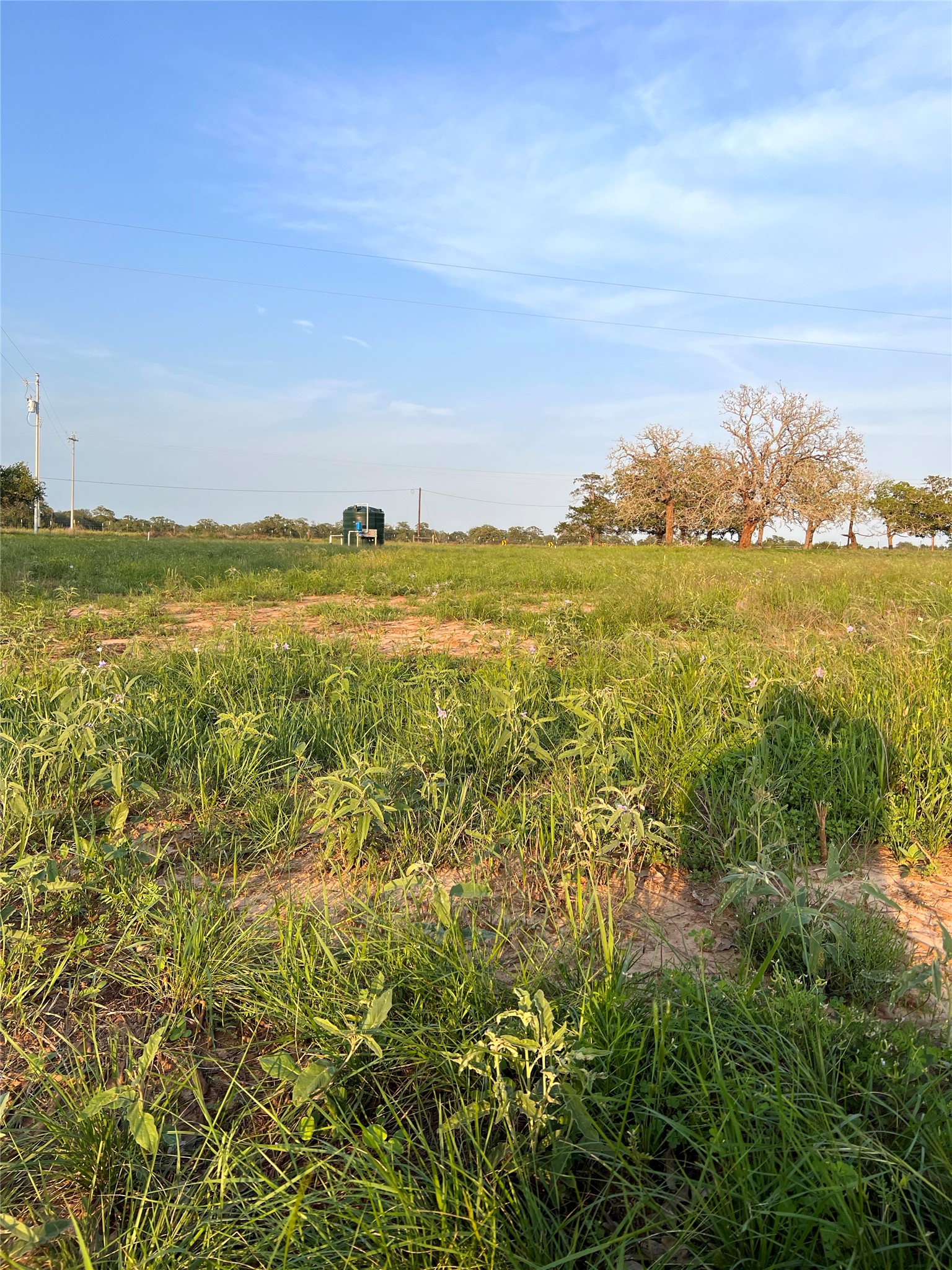 Tbd Lot 9 Tbd Road Rosanky, TX 78953 - Photo 10 of 17 a view of an ocean