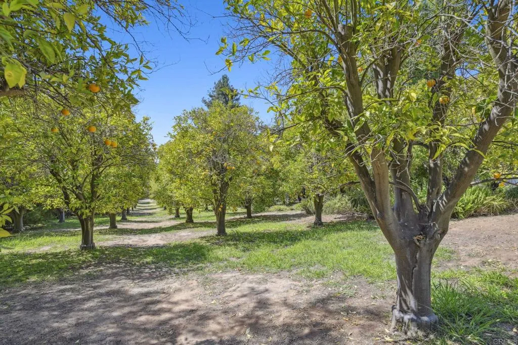 31619 Vía Puerta Del Sol Bonsall, CA 92003 - Photo 26 of 70 a view of park with trees