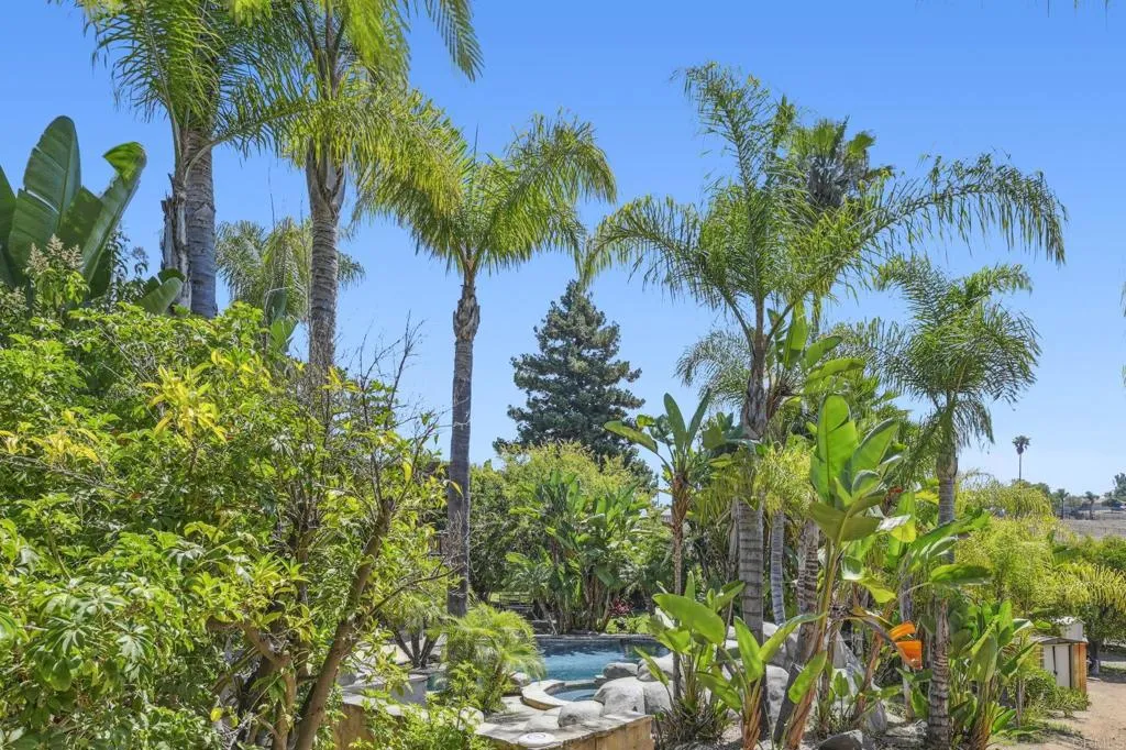 31619 Vía Puerta Del Sol Bonsall, CA 92003 - Photo 61 of 70 a view of a garden with a plant