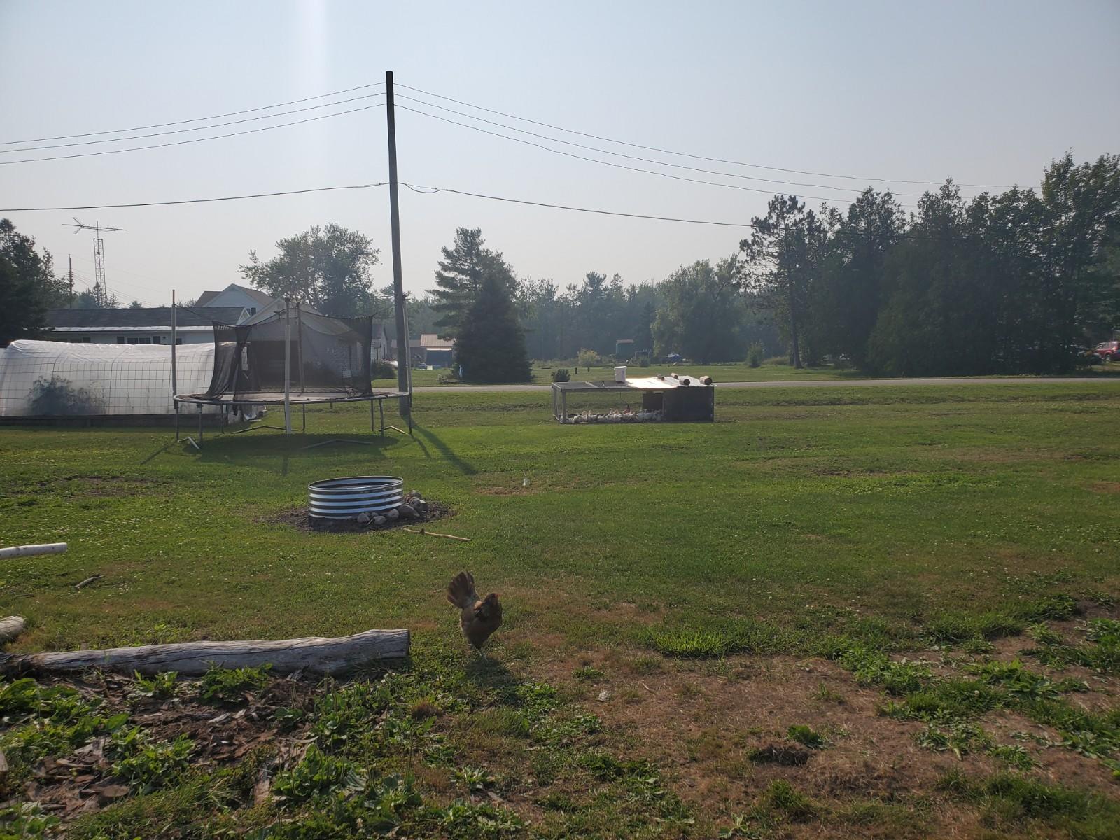 3198 West 10 Mile Road Dafter, MI 49724 - Photo 27 of 28 Gallery Image 27