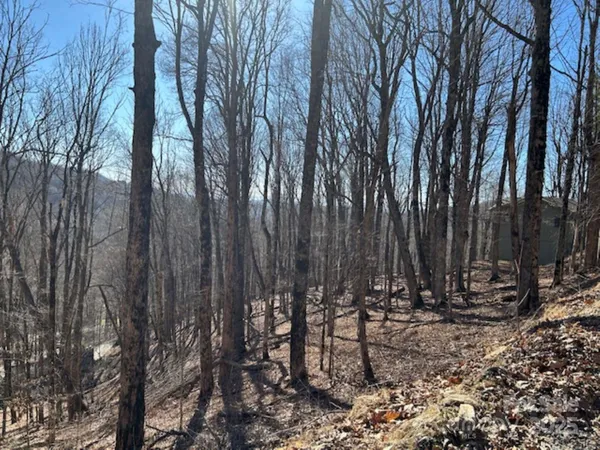 $20,000 | 690 Oak Rdg Lane, Unit 690, Mars Hill, NC 28754