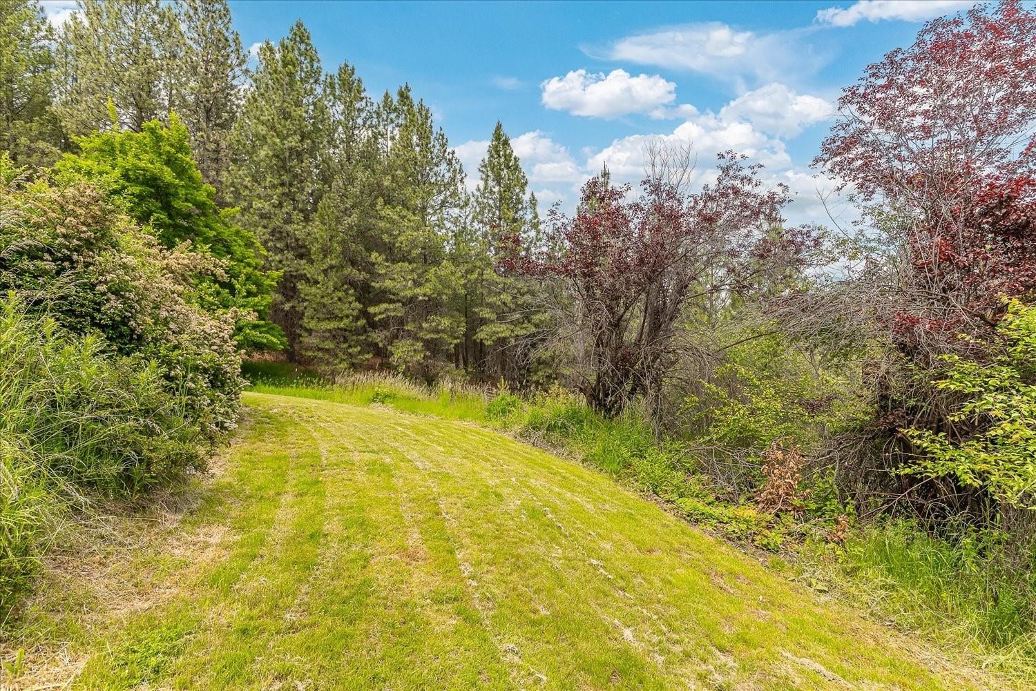 23214 North Perry Road Colbert, WA 99005 - Photo 40 of 50