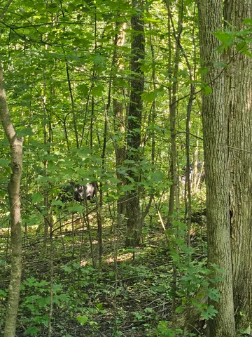 $711,000 | Byers, Boscobel, WI 53805