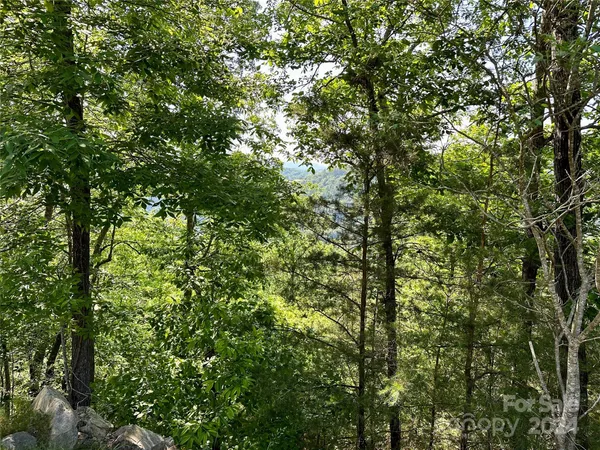 $65,000 | 387 Wild River Run, Unit 6, Marshall, NC 28753