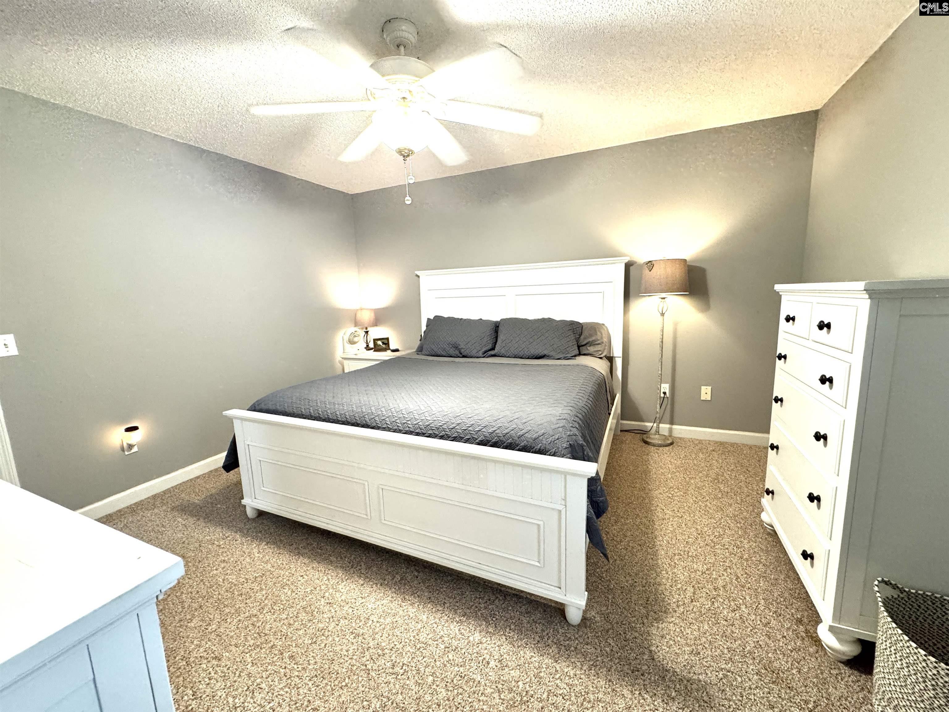 1344 Colie Branham Road Lugoff, SC 29078 - Photo 21 of 26