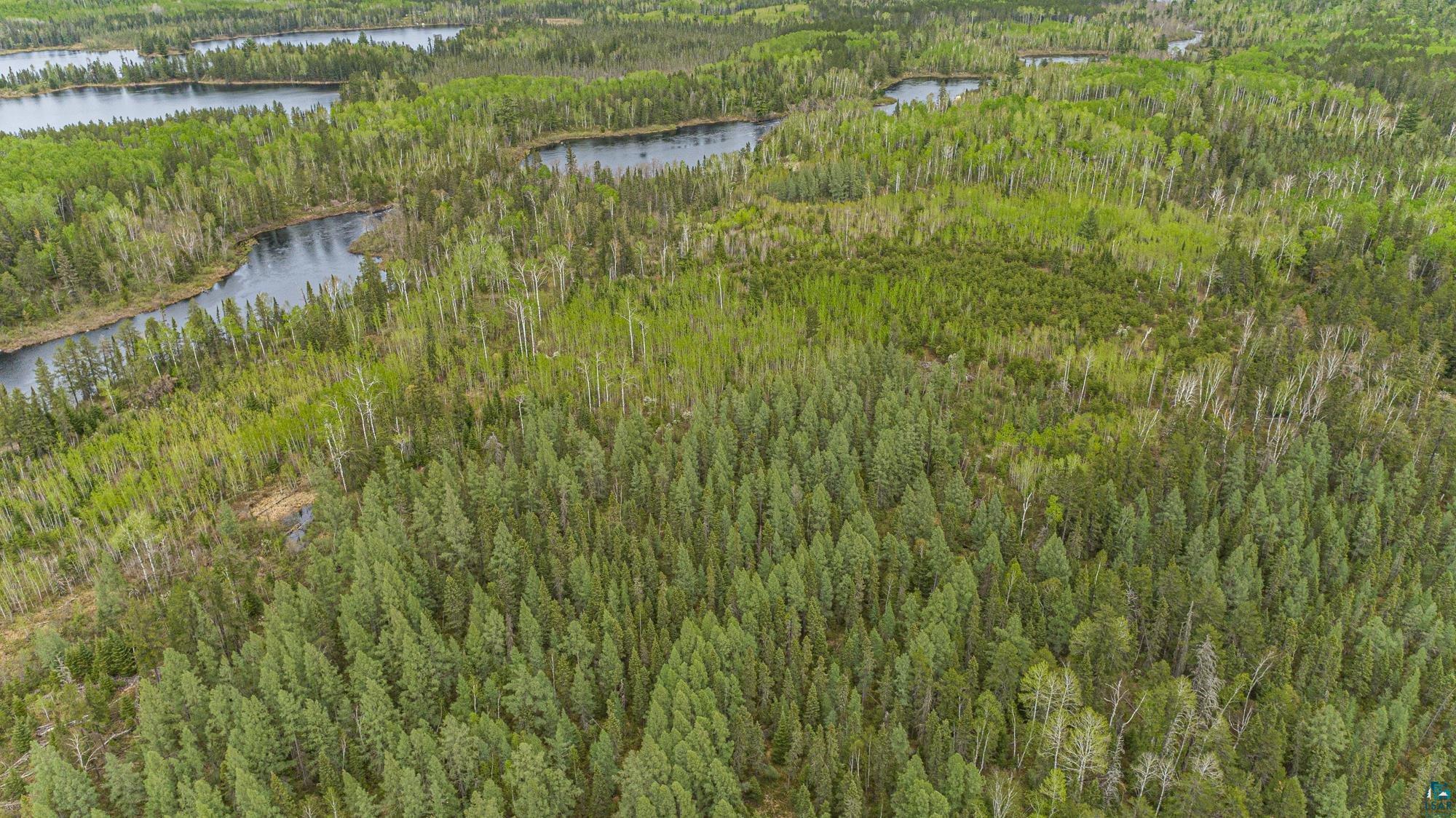 Tbd Kelly Trail Isabella, MN 55607 - Photo 5 of 18 Gallery Image 5