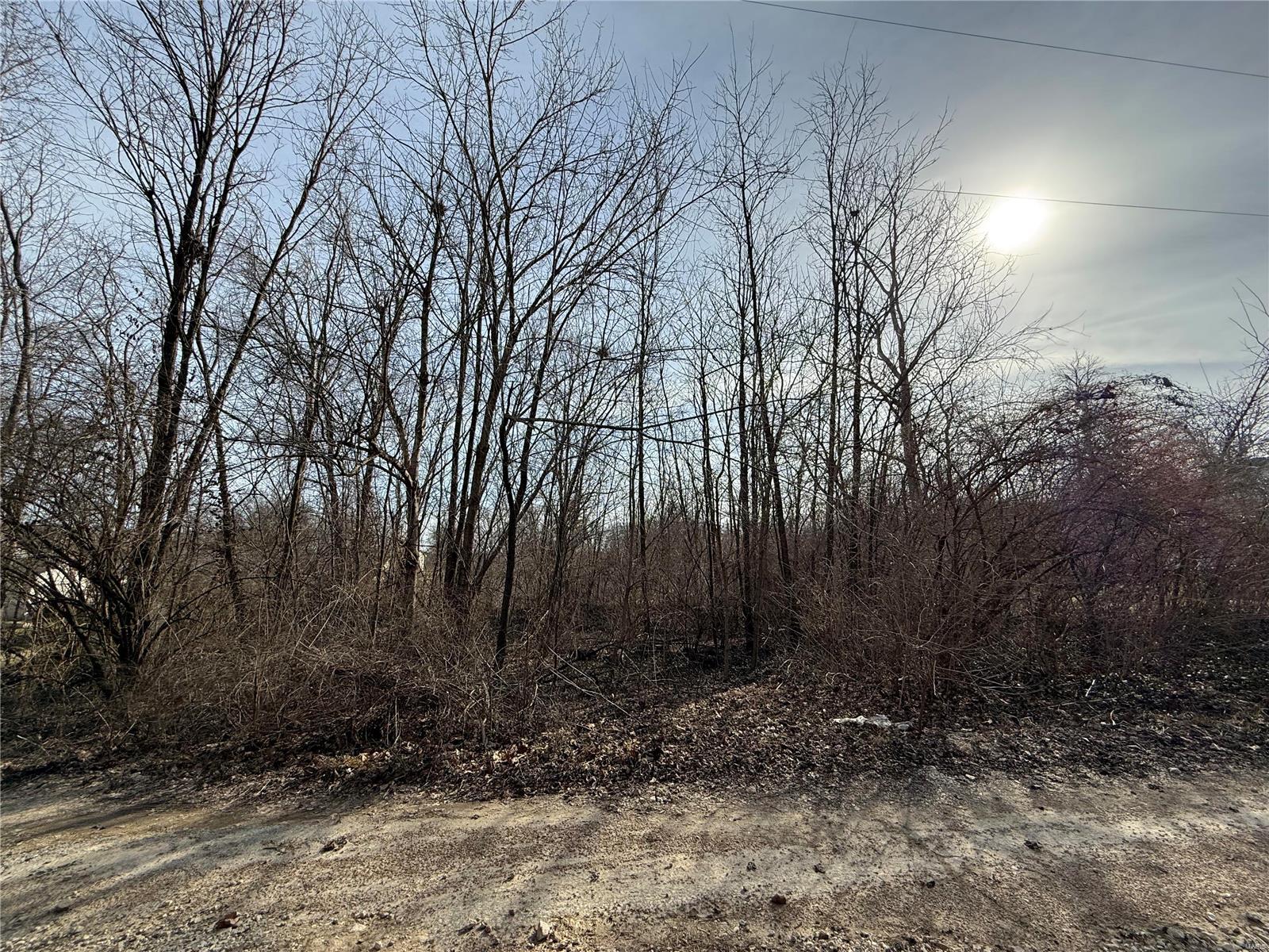 314 Oak Drive Gray Summit, MO 63039 - Photo 4 of 6