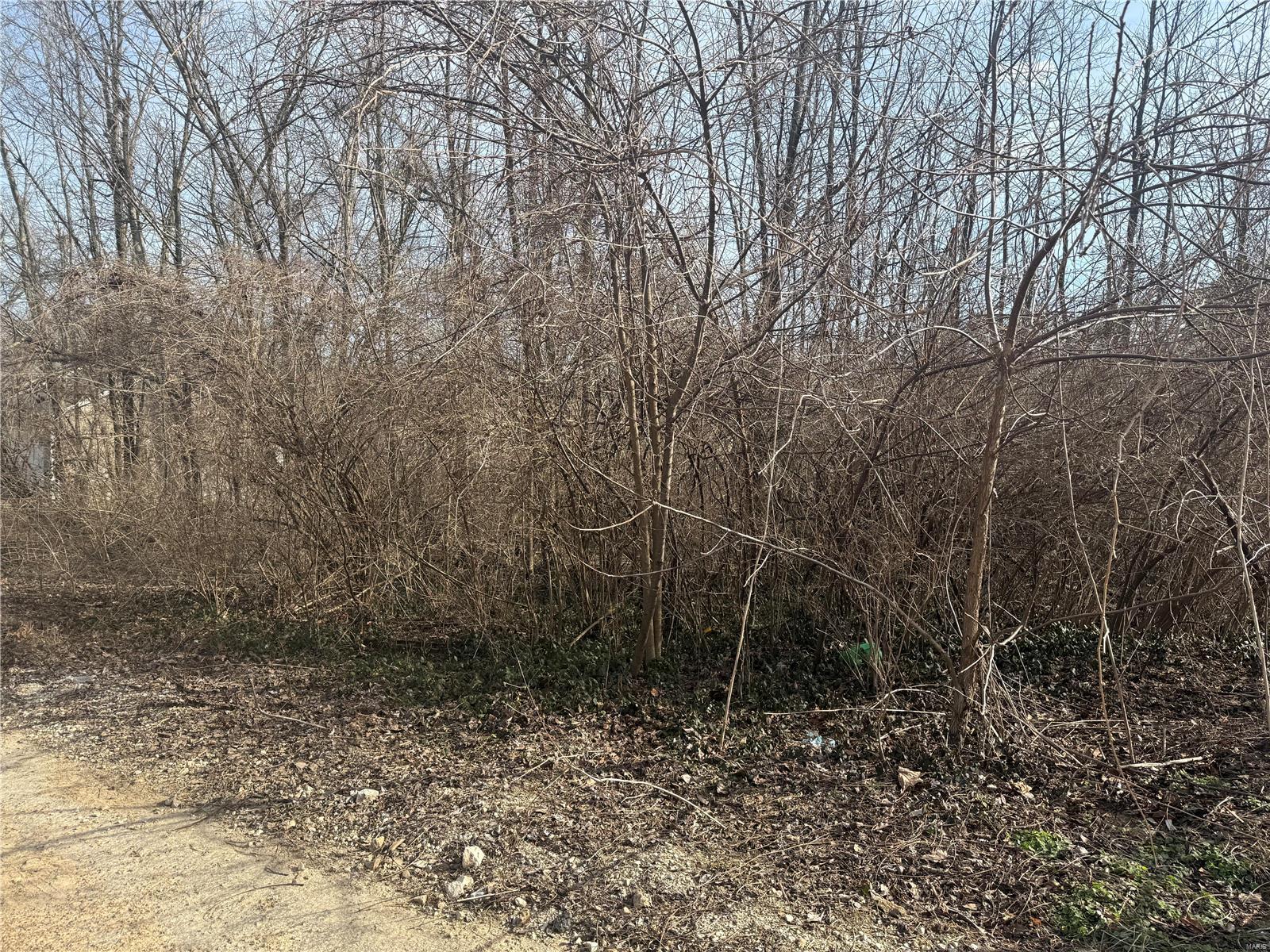 314 Oak Drive Gray Summit, MO 63039 - Photo 6 of 6