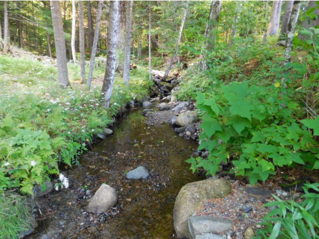 997 Tenney Pond Road Newbury, VT 05081 - Photo 16 of 17