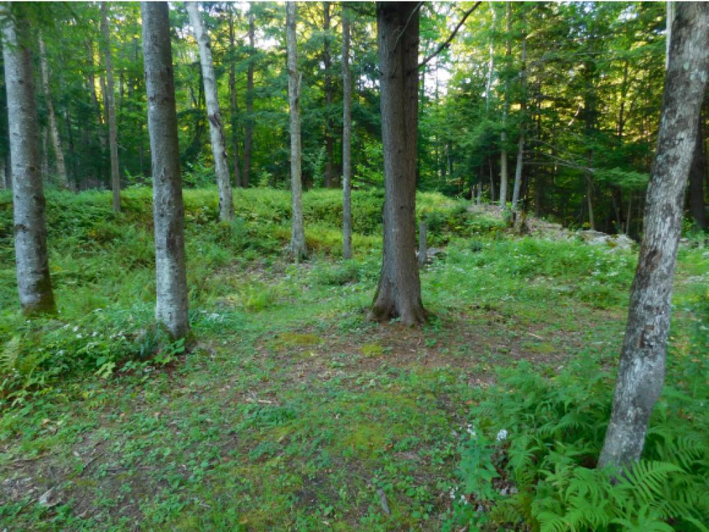 997 Tenney Pond Road Newbury, VT 05081 - Photo 17 of 17